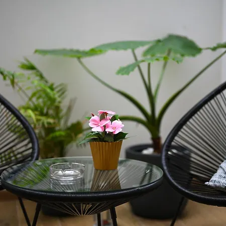 Appartement Mimì